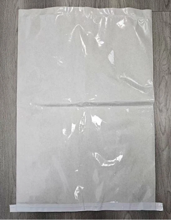 Χάρτινη σακούλα με επένδυση